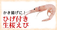 �����g���ɍœK�@�Ђ��t����������