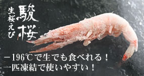 �x���������с@�}�C�i�X196���Ő��ł��H�ׂ��I��C�����Ŏg���₷���I