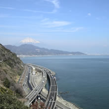 富士山を望む駿河湾桜えび